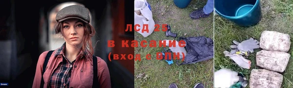 гашик Богородицк